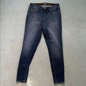 Torrid 18XT Sky High Skinny